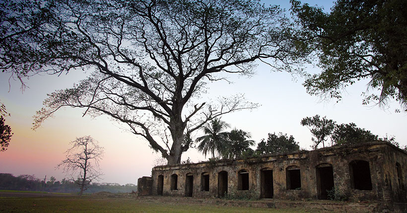 Aamjhupi Nilkuthi