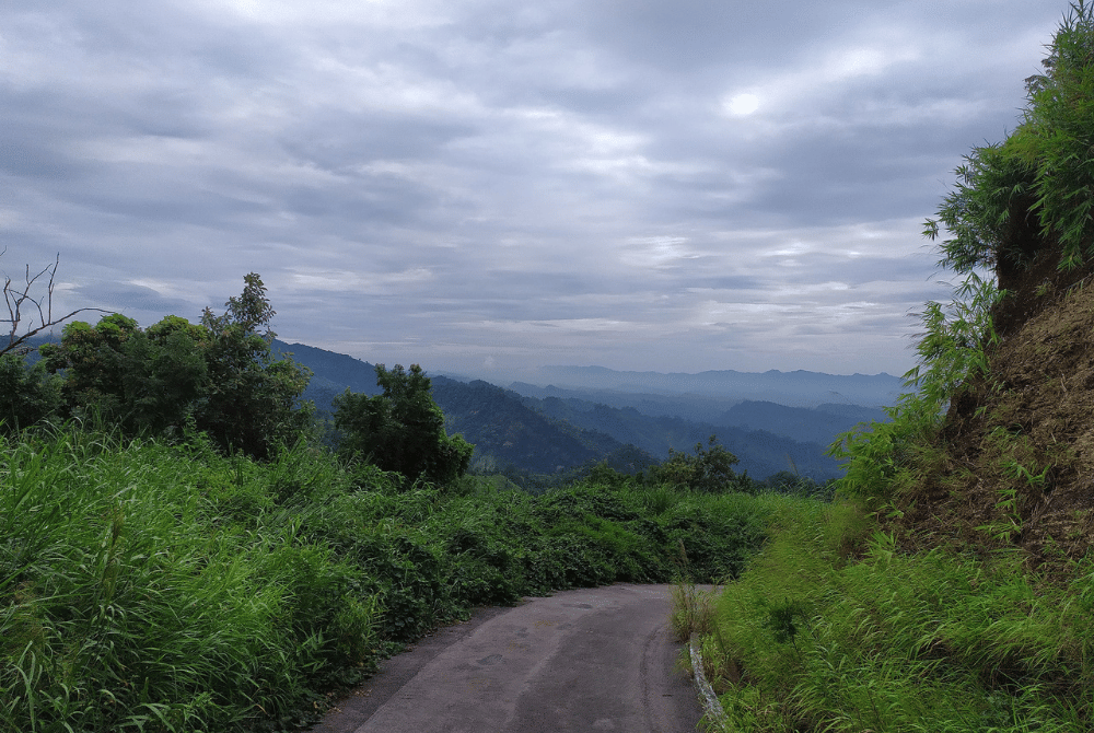 thanchi main road