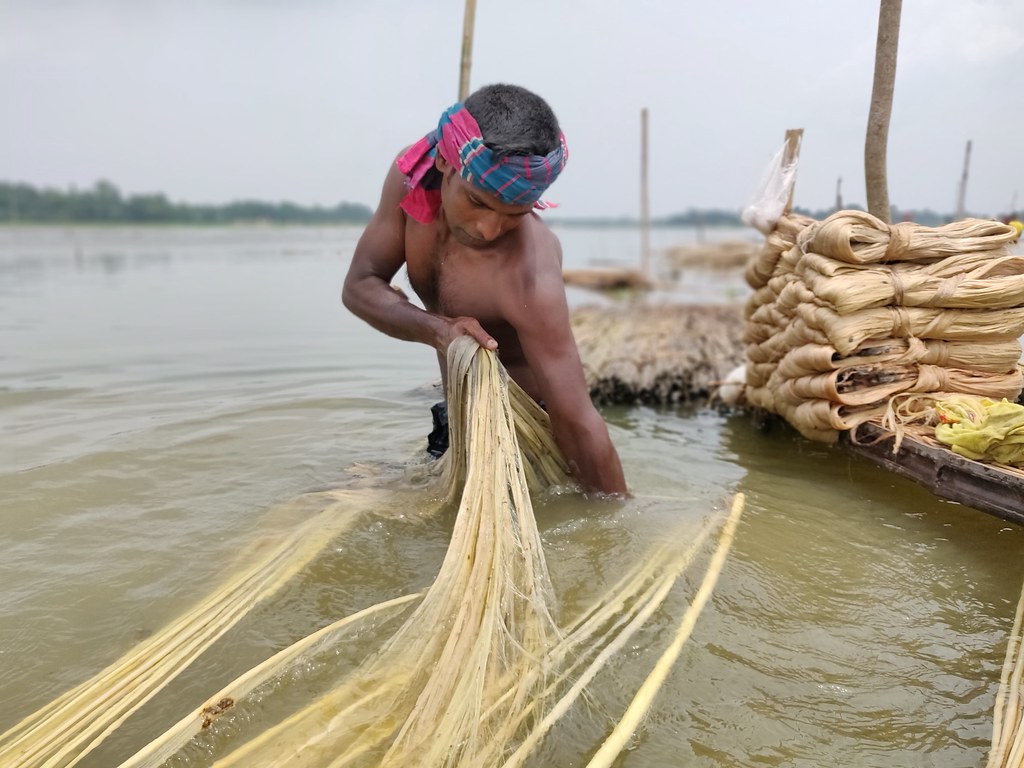 jute cleaning