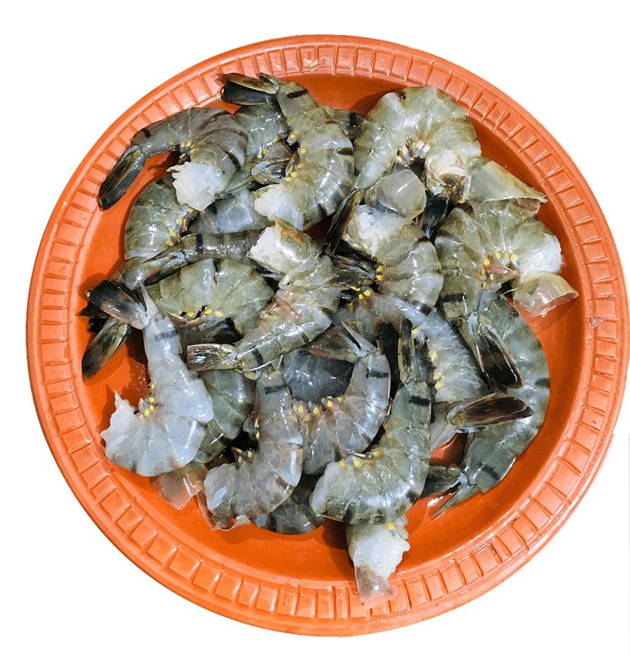 Black Tiger Shrimp: Bangladesh's Geographical Indication Product 3 bagda