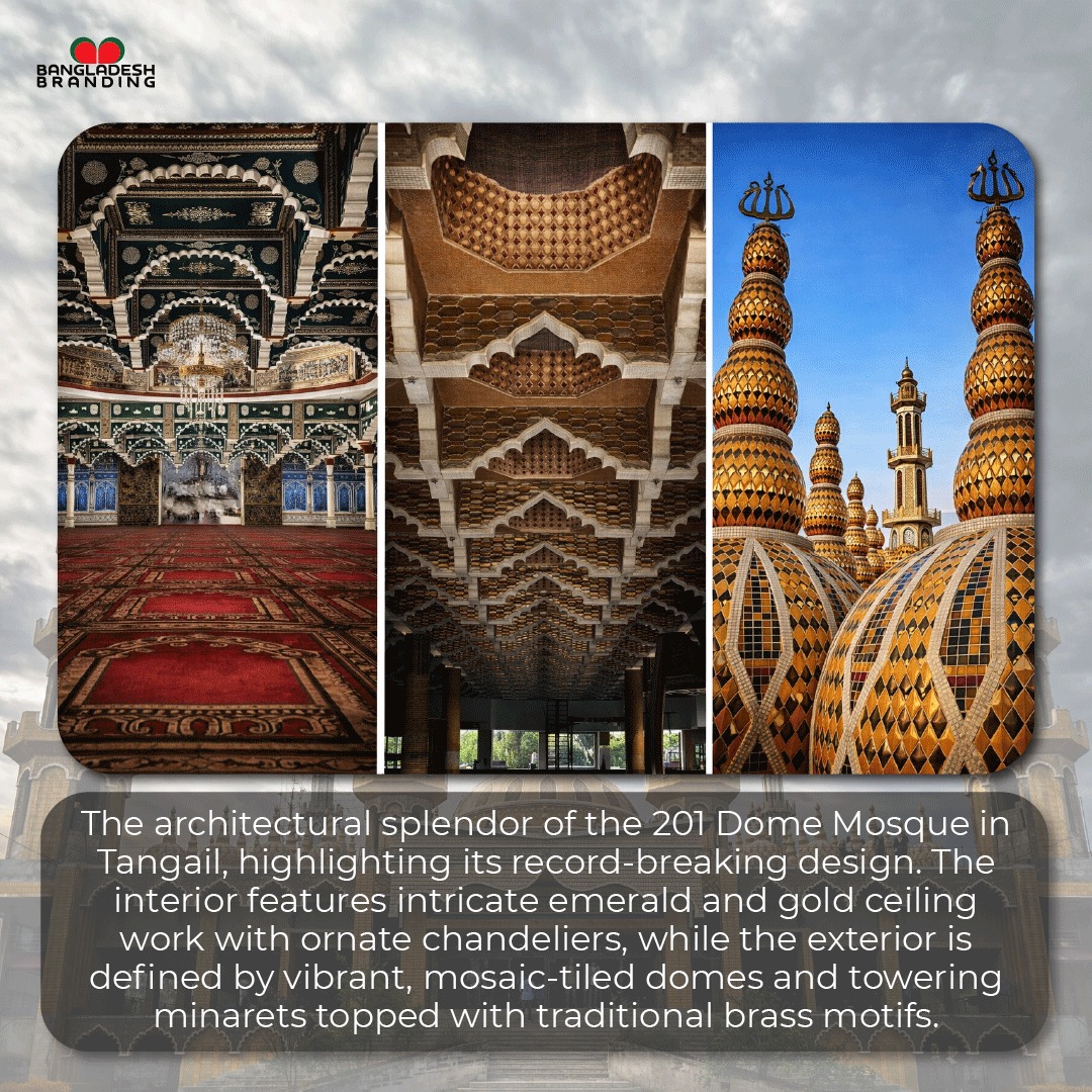 WhatsApp Image 2026 03 31 at 4.07.14 PM